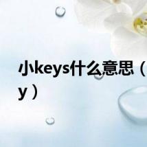 小keys什么意思(小key)