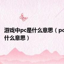 游戏中pc是什么意思(pc游戏是什么意思)