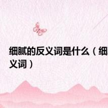 细腻的反义词是什么(细腻的反义词)