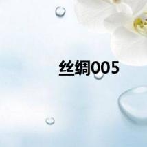 丝绸005