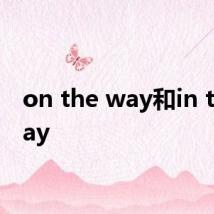 on the way和in the way