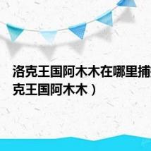 洛克王国阿木木在哪里捕捉(洛克王国阿木木)