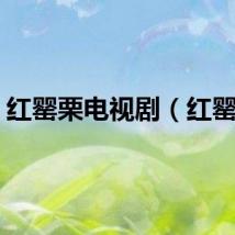 红罂栗电视剧（红罂栗）
