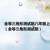 全等三角形测试题八年级上册答案(全等三角形测试题)
