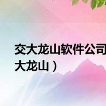 交大龙山软件公司（交大龙山）