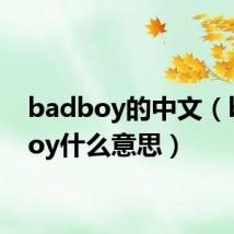 badboy的中文(badboy什么意思)