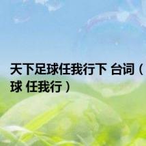 天下足球任我行下 台词（天下足球 任我行）
