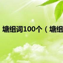 塘组词100个（塘组词）
