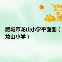肥城市龙山小学平面图(肥城市龙山小学)