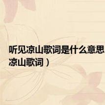 听见凉山歌词是什么意思(听见凉山歌词)