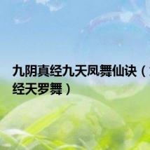 九阴真经九天凤舞仙诀(九阴真经天罗舞)