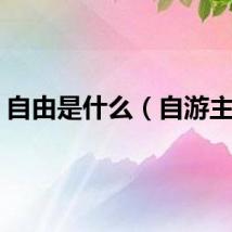 自由是什么（自游主张）