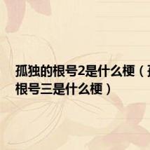 孤独的根号2是什么梗(孤独的根号三是什么梗)