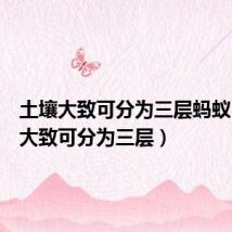 土壤大致可分为三层蚂蚁(土壤大致可分为三层)