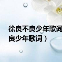 徐良不良少年歌词（不良少年歌词）