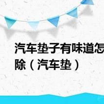 汽车垫子有味道怎么消除（汽车垫）