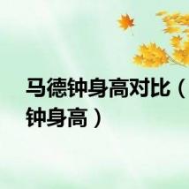 马德钟身高对比（马德钟身高）