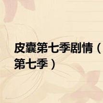 皮囊第七季剧情（皮囊第七季）