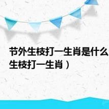 节外生枝打一生肖是什么(节外生枝打一生肖)
