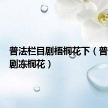 普法栏目剧梧桐花下(普法栏目剧冻桐花)