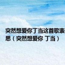 突然想爱你丁当这首歌表达的意思(突然想爱你 丁当)