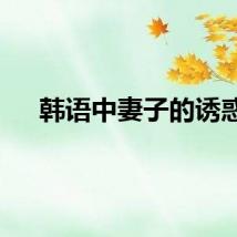 韩语中妻子的诱惑