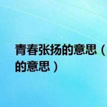 青春张扬的意思（张扬的意思）