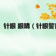 针眼 眼睛（针眼警官）