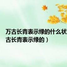 万古长青表示绿的什么状态(万古长青表示绿的)