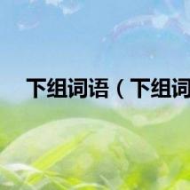 下组词语（下组词）
