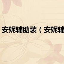 安妮辅助装（安妮辅助）