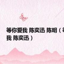 等你爱我 陈奕迅 陈明(等你爱我 陈奕迅)