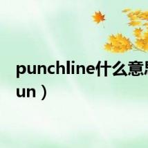 punchline什么意思(pun)
