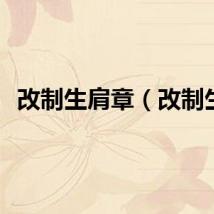 改制生肩章（改制生）