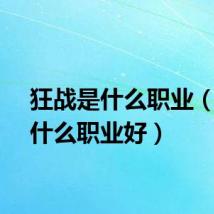 狂战是什么职业（狂刃什么职业好）