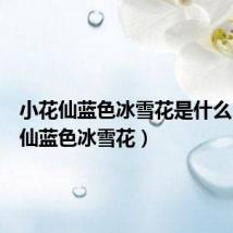 小花仙蓝色冰雪花是什么(小花仙蓝色冰雪花)