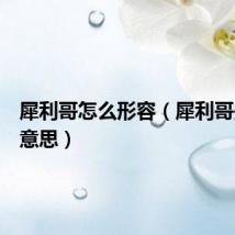犀利哥怎么形容(犀利哥是什么意思)