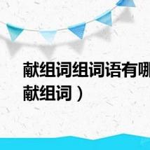 献组词组词语有哪些（献组词）