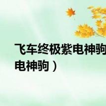飞车终极紫电神驹（紫电神驹）