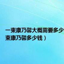 一束康乃馨大概需要多少钱(一束康乃馨多少钱)
