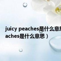 juicy peaches是什么意思(peaches是什么意思)