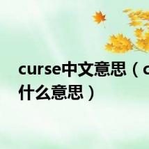 curse中文意思（curse什么意思）
