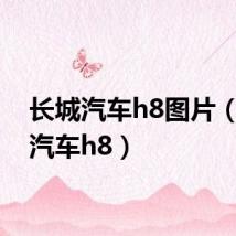 长城汽车h8图片(长城汽车h8)