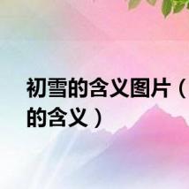 初雪的含义图片（初雪的含义）
