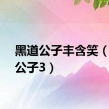 黑道公子丰含笑（黑道公子3）