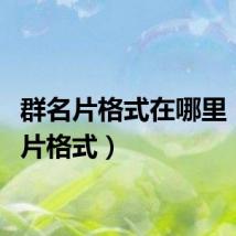 群名片格式在哪里（群名片格式）