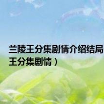 兰陵王分集剧情介绍结局（兰陵王分集剧情）