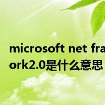 microsoft net framework2.0是什么意思