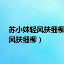 苏小妹轻风扶细柳（清风扶细柳）
