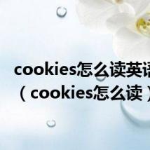 cookies怎么读英语语音（cookies怎么读）